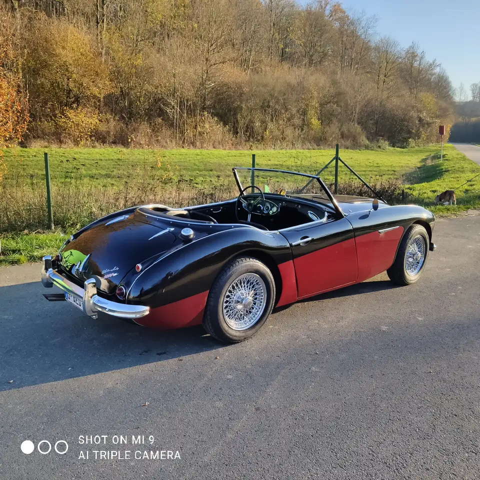 Austin-Healey 3000 MkI BT7 (2+2), foto 1