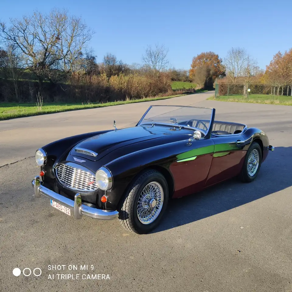 Austin-Healey 3000 MkI BT7 (2+2), foto 2