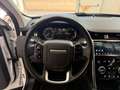 Land Rover Discovery Sport Discovery Sport 2.0 TD4 150 CV Auto Business Ed. P Bej - thumbnail 12