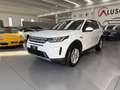 Land Rover Discovery Sport Discovery Sport 2.0 TD4 150 CV Auto Business Ed. P Bej - thumbnail 1