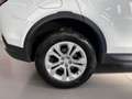 Land Rover Discovery Sport Discovery Sport 2.0 TD4 150 CV Auto Business Ed. P Bej - thumbnail 6