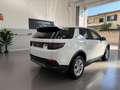 Land Rover Discovery Sport Discovery Sport 2.0 TD4 150 CV Auto Business Ed. P Bej - thumbnail 5