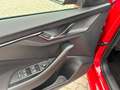 Skoda Kamiq Ambition 1.0 TSI / Rückfahrkamera Rojo - thumbnail 4
