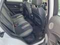 Land Rover Range Rover Evoque Pure/PANORAMA/KAMERA Weiß - thumbnail 11