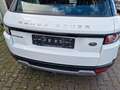 Land Rover Range Rover Evoque Pure/PANORAMA/KAMERA Weiß - thumbnail 20