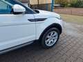 Land Rover Range Rover Evoque Pure/PANORAMA/KAMERA Weiß - thumbnail 16