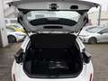 Toyota Yaris Cross 1.5 E Business Edition ++KlimaA+LED++ Weiß - thumbnail 20