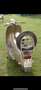 Lambretta Li 150 special golden Oro - thumbnail 3