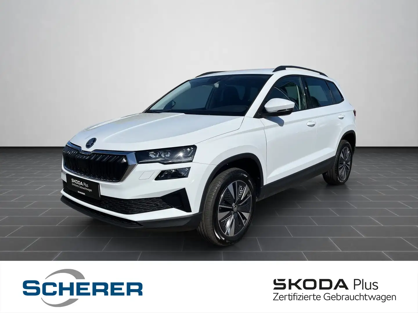 Skoda Karoq 2.0 TDI DSG Style Matrix-LED, Kessy, RFK Weiß - 1