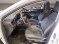 Ford Focus Active SW 1.0 ecoboost h s&s 125cv my20.75 Bianco - thumbnail 8