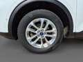 Ford Kuga Titanium X 2.5 PHEV - PANO - AHK - B&O - ACC - Weiß - thumbnail 12