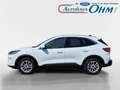 Ford Kuga Titanium X 2.5 PHEV - PANO - AHK - B&O - ACC - Weiß - thumbnail 4