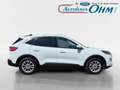 Ford Kuga Titanium X 2.5 PHEV - PANO - AHK - B&O - ACC - Weiß - thumbnail 9