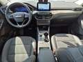 Ford Kuga Titanium X 2.5 PHEV - PANO - AHK - B&O - ACC - Weiß - thumbnail 16