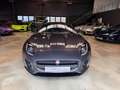 Jaguar F-Type F-TYPE Coupe SPORTABGAS/19ZOLL/DEUTSCH Grau - thumbnail 13
