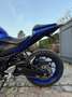 Yamaha YZF-R3 *Akrapovic* @AelbrechtMotors Blauw - thumbnail 10