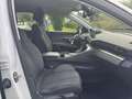 Peugeot 3008 3008 II 2016 1.5 bluehdi Business Bianco - thumbnail 12