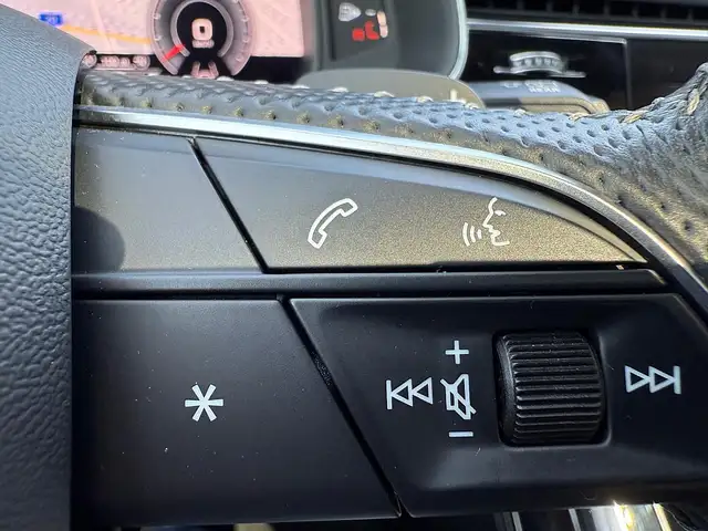 Audi Q8 50 MHEV TDI quattro Tiptronic Ansicht 15
