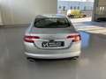 Jaguar XF 3.0 D V6 240CV LUXURY CAMBIO AUTOMATICO Grigio - thumbnail 6