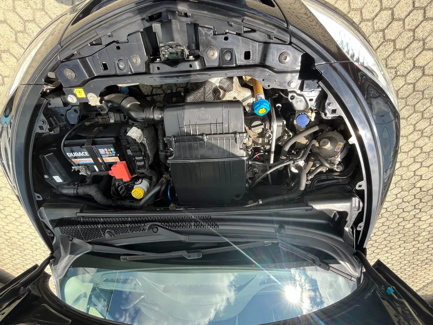Lancia Ypsilon Ypsilon 1.2 8v Elefantino Gpl 69cv my14 Negro - 2