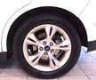 Ford C-Max C-MAX Titanium 1,5 TDCi --Automatik-- Blanc - thumbnail 10