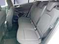 Ford Focus Turnier 1.5 EcoBlue Start-Stopp-System Aut. TITANI Wit - thumbnail 9