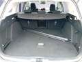 Ford Focus Turnier 1.5 EcoBlue Start-Stopp-System Aut. TITANI Weiß - thumbnail 7