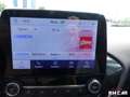 Ford Fiesta 1.0 ECOBOOST 125 MHEV HYBRID ActiveX BVA 4000 kms Gris - thumbnail 20