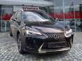 Lexus UX 250h Style Edition wenig KM*Top Gewartet Schwarz - thumbnail 5