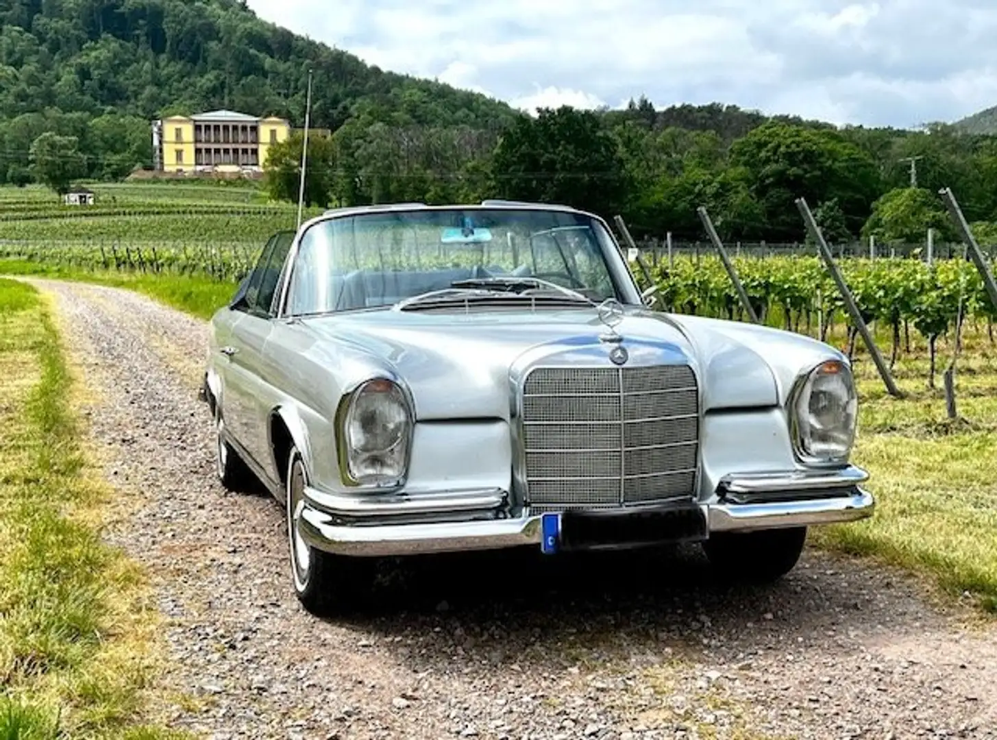 Mercedes-Benz 250 250 SE/Cab Plateado - 1