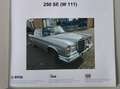 Mercedes-Benz 250 250 SE/Cab Plateado - thumbnail 4