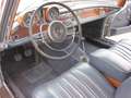 Mercedes-Benz 250 250 SE/Cab Plateado - thumbnail 23