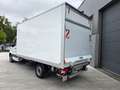Mercedes-Benz Sprinter 311 CDI Sprinter Standard HA (OM654) Blanc - thumbnail 3