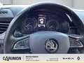 Skoda Kamiq Ambition 1.0 TSI Grau - thumbnail 10