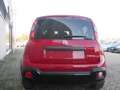 Fiat Panda Pandina Cross 1.0 firefly hybrid REAL PRICE Rosso - thumbnail 10