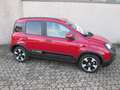 Fiat Panda Pandina Cross 1.0 firefly hybrid REAL PRICE Rosso - thumbnail 5