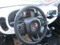 Fiat Panda Pandina Cross 1.0 firefly hybrid REAL PRICE Rosso - thumbnail 12