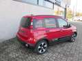 Fiat Panda Pandina Cross 1.0 firefly hybrid REAL PRICE Rosso - thumbnail 9