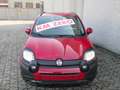 Fiat Panda Pandina Cross 1.0 firefly hybrid REAL PRICE Rosso - thumbnail 3