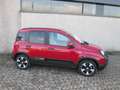 Fiat Panda Pandina Cross 1.0 firefly hybrid REAL PRICE Rosso - thumbnail 7