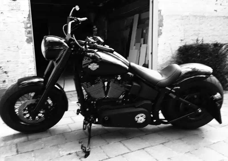 Harley-Davidson Custom Bike - foto 2