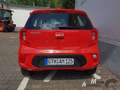 Kia Picanto 1.2 Automatik Spirit+Navi- Komfort-Paket Rojo - thumbnail 6