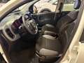 Fiat Panda Panda 1.0 firefly hybrid CityLife s VARIE UNITà Blanc - thumbnail 8