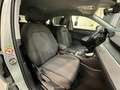 Audi Q3 40 TDI quattro S tronic Business Plus Grau - thumbnail 13