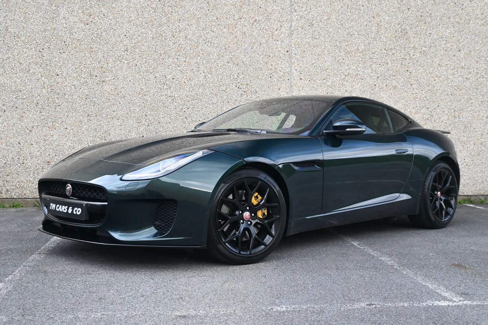 Jaguar F-Type 2.0 i4 300pk /bj 2019 /27dkm/ Leder, Cam, pano Groen - 1