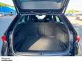 Skoda Octavia Combi 1.5 TSI DSG PANO LED SHZ PDC LM Noir - thumbnail 8
