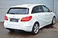 Mercedes-Benz B 180 CDI Edition 1 "Navi/Leder/Xenon/R.Kam/AHK" Weiß - thumbnail 9