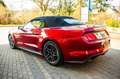 Ford Mustang Cabrio 2.3L /Navi/19"/3J.Garantie - thumbnail 6