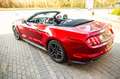 Ford Mustang Cabrio 2.3L /Navi/19"/3J.Garantie - thumbnail 4