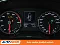 SEAT Ibiza 1.0 TSI XCellence Aut.*NAV*LED*TEMPO*CAM*PDC*SHZ Beige - thumbnail 20